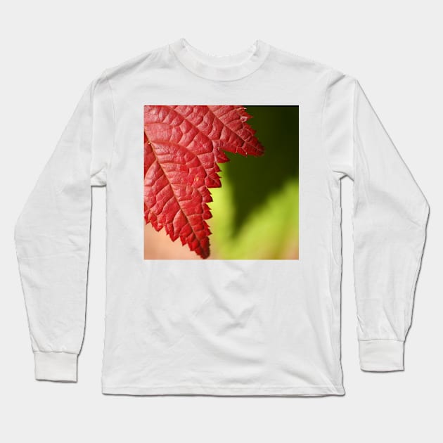 Red Leaf Lines Long Sleeve T-Shirt by JohnDalkin